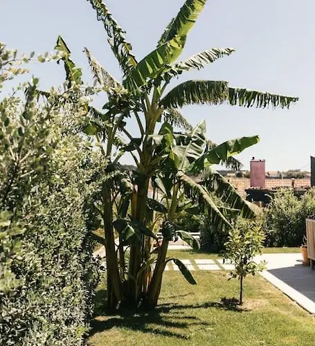 Летний дом Casa Da Aldeia - Baleal - Peniche Casais Brancos